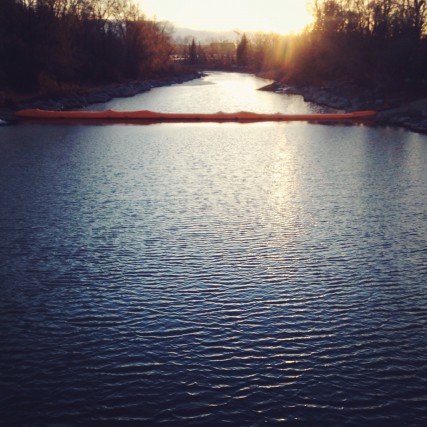 Bow River / Photo by Lori Andrews @theoriginal10cent on instagram